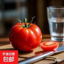 京喜 山东沙瓤水果西红柿 100g起 4斤 带箱5元