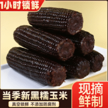 富含花青素！京鲜生 山东甜糯黑玉米 3.6斤（180g*10根）￥11.90 7.0折