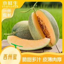 京鲜生 甘肃西州蜜哈密瓜 2粒装 单果2斤起 净重4.5斤起10.51元
