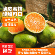 京喜加云南湖北青皮蜜桔橘子高山青皮酸桔子应季时令水果孕妇生鲜 蜜桔带箱2斤50-60mm9元 (月销1w+)