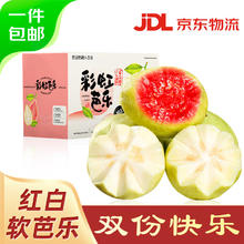 京鲜生 软糯双拼红白芭乐 净重3斤单果150g+28.8元