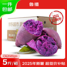 鲁禧 广西新鲜紫薯中果净重4.5斤（单果150-400g）