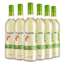 张裕先锋佳熊冰爽白葡萄酒750ml *6整箱【微酸不甜】西班牙原瓶进口