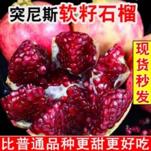 四川会理突尼斯软籽石榴5斤14.9元
