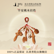 来自普陀山的礼物！ 平安桃木挂件￥43.23 0.4折