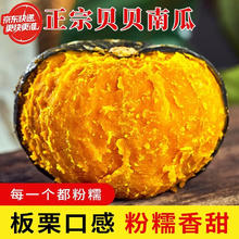 京鲜匠 山东贝贝南瓜 栗香小南瓜 粉糯老瓜新鲜蔬菜香甜软糯产地直发 5斤实惠（4-9个）净 4.5斤券后4.99元