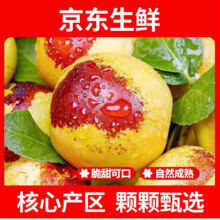 疆域采虹 正宗陕西大荔冬枣 特选3斤 净重约2.5斤+9.9元（需领券）