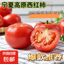 宁夏新鲜西红柿水果番茄自然熟生吃减肥减脂即食蔬菜生鲜源头直发 大红西红柿净重 2斤