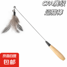 CFA赛级逗猫棒猫咪玩具长杆羽毛替换头耐抓咬猫玩具用品自嗨解闷 木柄逗猫棒+波点羽毛0.9元（需领券）