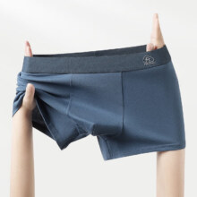 芬腾 内裤 4条装、2XL