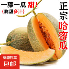 正宗哈密瓜 西州蜜 1.5-2斤3.99元包邮