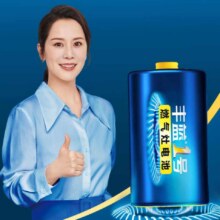 丰蓝1号燃气灶电池大号 1粒2.99元（需领券）