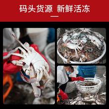 拾鲜生 舟山新鲜冷冻梭子蟹 3斤（7-9两/只 船冻 源头直发）