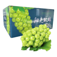 京典光年山西阳光玫瑰葡萄礼盒 顺丰/JD空运 新鲜高品质水果 山西阳光玫瑰净重4.5斤（单果7-10g）19.8元