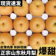 甜萌果蔬 山东秋月梨礼盒 5斤精选果装【单果约200g+】净重4.5斤14.6元（需领券）