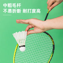 得力 羽毛球耐打防风稳定训练用球鸭毛鹅毛室外比赛11.3元