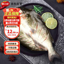 巢三珍 斑点叉尾鮰鱼400g 生鲜食材 鱼类原料4.24元