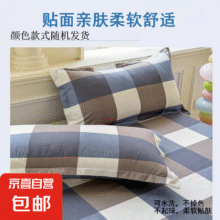 20点：四季亲肤磨毛印花家用枕套 （单只装） 花型随机 单只 74cm*48cm4.9元（需领券，合2.45元/件）