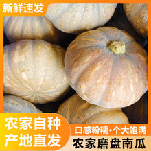 甄仙缘 老品种南瓜 磨盘南瓜 4斤 【1-2个】