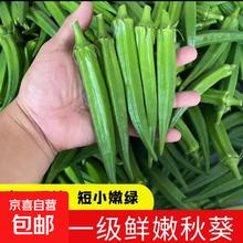 京喜 无品牌 国产秋葵 500g
