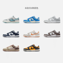 Nike耐克Dunk胶底男子运动鞋板鞋