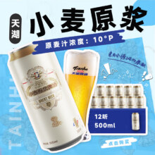 天湖 施泰克白啤精酿10度 500ml*12罐27.71元（需领券，买两件）