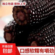 京喜加 头茬新黑糯玉米新鲜现摘真空包装 黑玉米4支180-200克券后1.99元