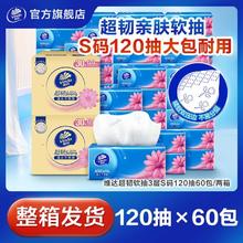 维达 超韧系列抽纸S码120抽60包