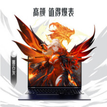 11号20点：机械革命 翼龙16Pro 16英寸(R7 H 255 32G 1T RTX5060 2.5K 300Hz)
