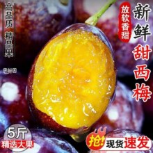 【头茬-尝鲜】正宗西梅爆甜 新鲜水果新疆女神西梅李子应当鲜果 3斤带箱净重2.5斤) 精选装单果20g+14.9元