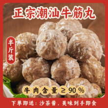 利园 潮汕正宗手打牛肉丸/牛筋丸 250g59元（需领券，合7.38元/件）