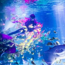 美团 常州海昌海洋探索馆-【双人票】门票原价200.00元 现价72元