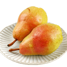 烟台太婆梨 4.5-5斤单果90g+