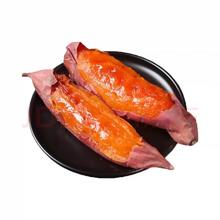 古寨山 龙九蜜薯 黄心烟薯 净重4.5斤
