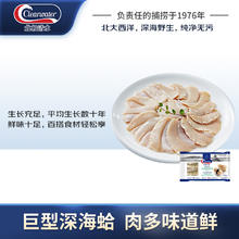 北极清水 加拿大北极蛤切片 100g 无添加 巨型蛤蜊 可生食 刺身 捞汁 凉拌