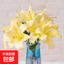 【香水百合】特价鲜花云南直发家用水养插花束七夕送礼物好养香味 黄百合6朵 优质百合14元 (每满300减30,月销7000+)
