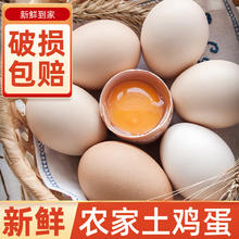筱诺 单枚40±5g 12枚鸡蛋