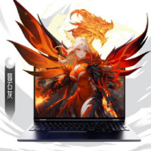 11号20点：机械革命 翼龙16Pro 16英寸 游戏本(R7 H 255 32G 1T RTX5060 2.5K 300Hz)