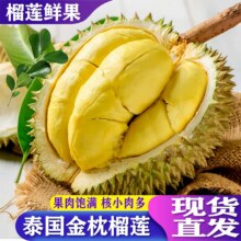 泰国进口金枕榴莲 3-4斤单果65.67元+733淘金币（5-6斤款102.75元，6-7斤119.16元）