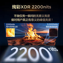TCL 电视 75T7L Pro 75英寸 QD-Mini LED 蝶翼星曜屏5098.8元
