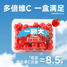 有券的上、PLUS会员：京鲜生 一颗大 国产红宝石樱桃番茄 836g13元（需买2件，需用券）
