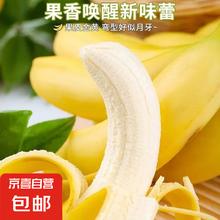海南 甜香蕉 250g 半斤 新鲜水果