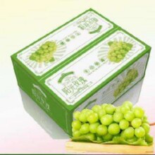 88VIP：PANZHIHUA FRUIT 阳光玫瑰葡萄茉莉香2.7-3斤 单果 8-10g