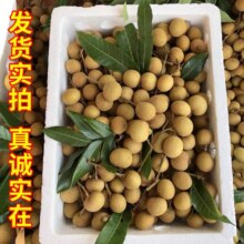 新鲜龙眼包甜 5斤22.4元