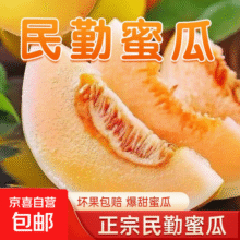 【香甜蜜瓜】正宗民勤蜜瓜头茬新鲜黄河沙漠甜瓜应季水果整箱包邮 蜜瓜带箱8-10斤19.9元 (月销9000+)