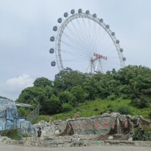 美团 大连森林动物园摩天轮-【不限人群票】游乐园夜场20次票原价190元 现价120元