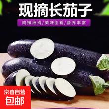 京喜 寿光农家 紫茄子 5斤 新鲜蔬菜 烧烤搭档2元