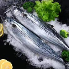 马鲛鱼500g*4条22.25元