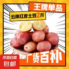 京喜 云南 红皮土豆 高原黄心土豆 2斤 单果1-3两