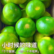 淘宝买菜 云南青皮蜜橘 净重4.5斤/单果50-60mm新低11.74元包邮（折2.6元/斤）